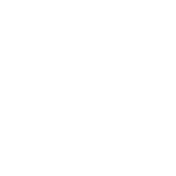 medal